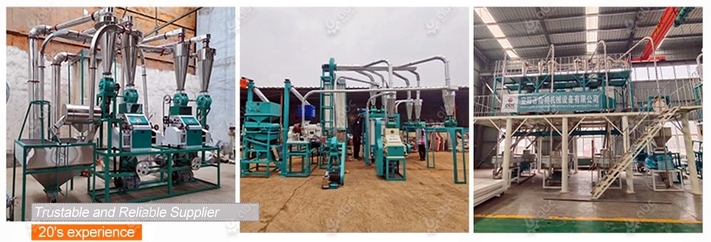 wheat flour mill plant cost