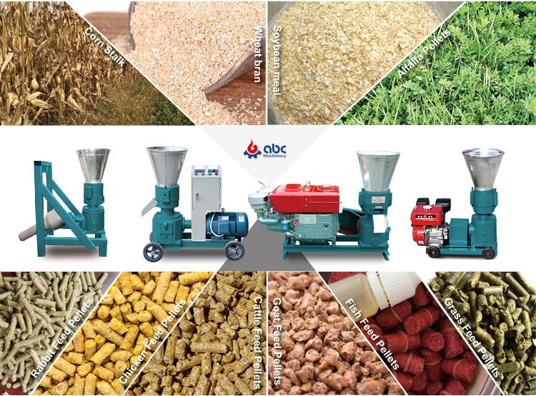 Animal Feed Pellet Machine 