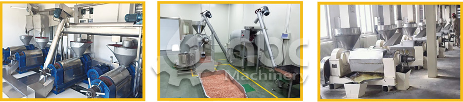 Affordable Small Cooking Oil Equipment