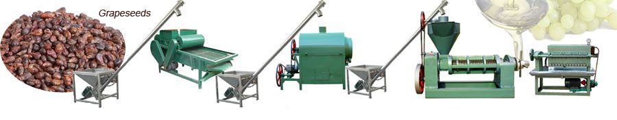 small grape seed oil mill
