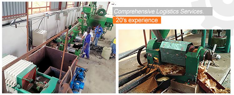 Small Grape Stone Oil Extraction Production Line (Mechanical Screw Pressing)