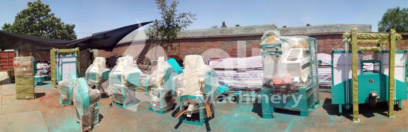 small maize milling plant equipment for sale at low price
