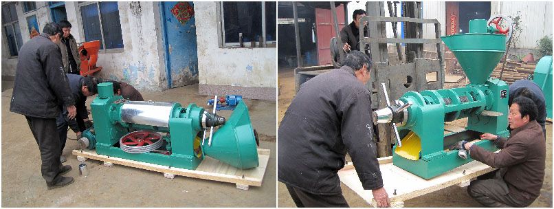 small oilseeds expeller for expelling vegetable oil from various seeds and nuts
