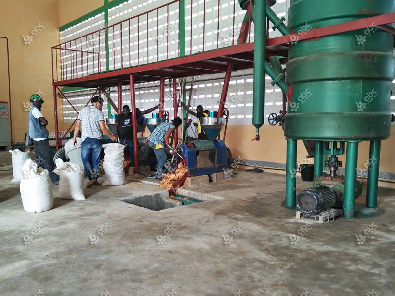 small scale canola oil production line