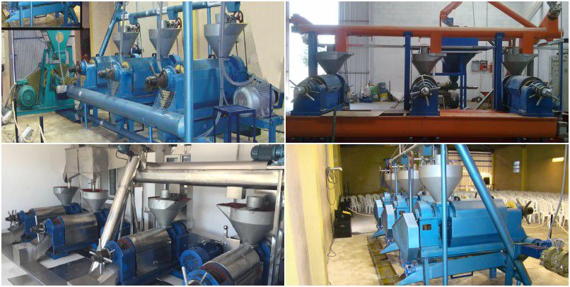 small scale cooking oil mill project - cottonseed oil pressing unit