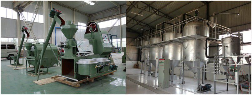 small soybean oil mill and refinery plant