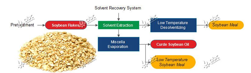 soya bean protein making process setup