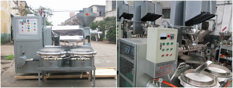 soybean oil press for sale