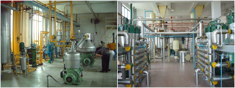 soybean oil refining plant