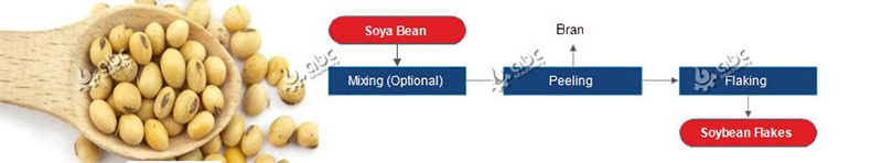 start soy protein isolate manufacturing plant