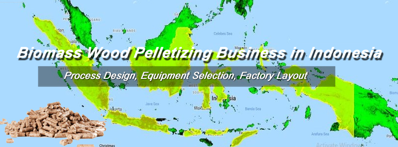 investing biomass wood pelletizing business in Indonesia