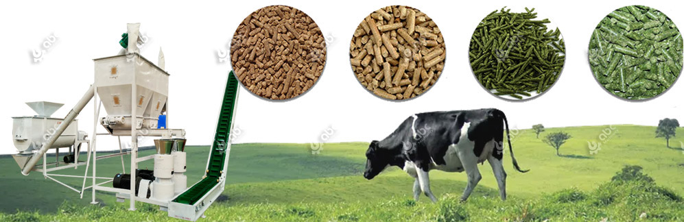 cattle feed pellet machine supplier