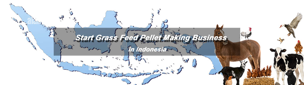 start grass feed pellet manufacturing business in Indonesia