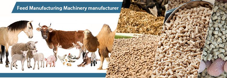 Livestock Feed Pellets Processing Technology & Equipment – Buy High Quality  Livestock Feed Pellet Machine for Feed Pellet Making