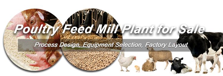 Start Livestock Poultry Feed Pellet Manufacturing Business