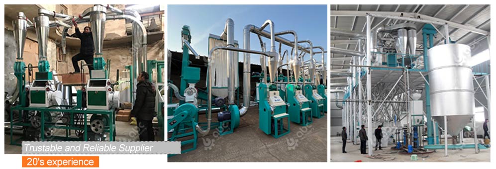 successful maize processing plant at lowest cost