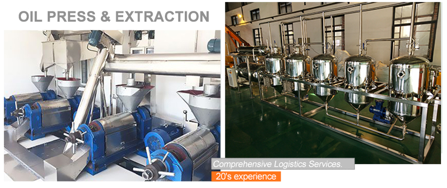 sale sunflower oil extraction machine at low price