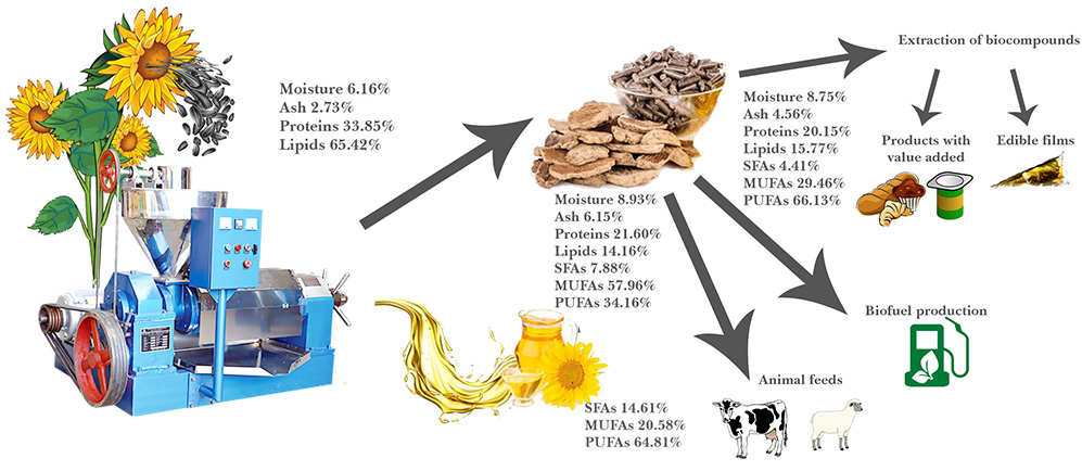 sunflower oil mill expand market profit