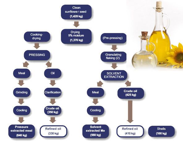 sunflower oil pressing flow chart of full oil processing plant