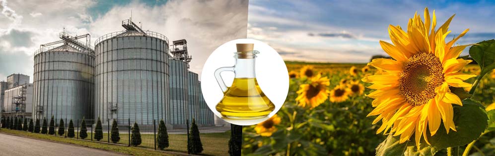 how to achieve sunflower oil processing mill construction 