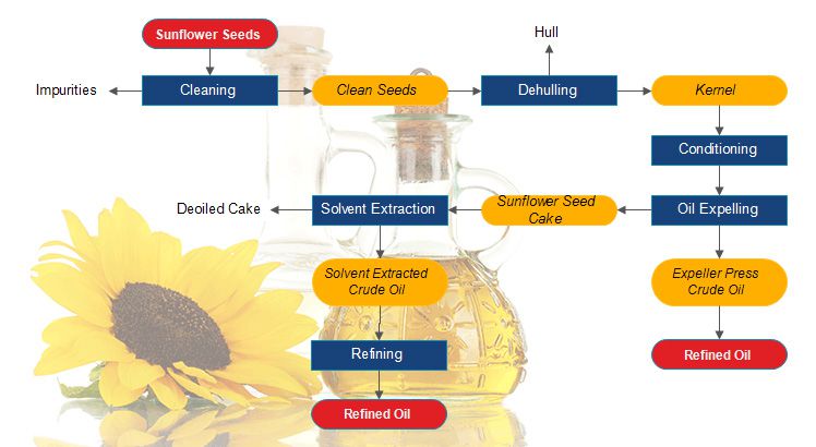 sunflower oil production process