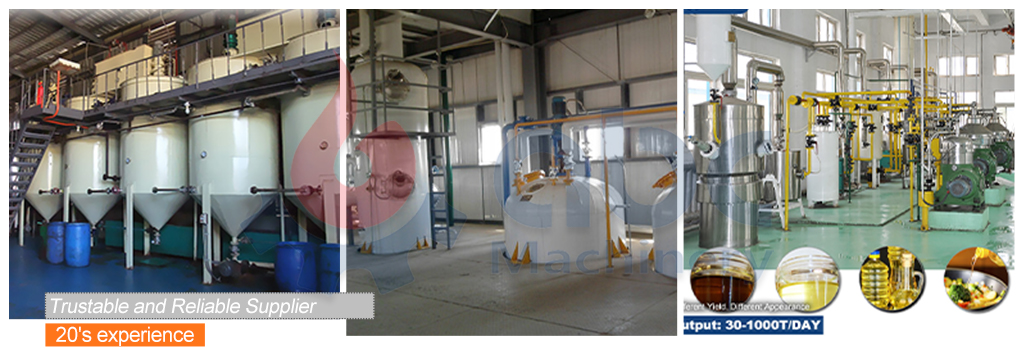 sunflower oil refining processing plant setup