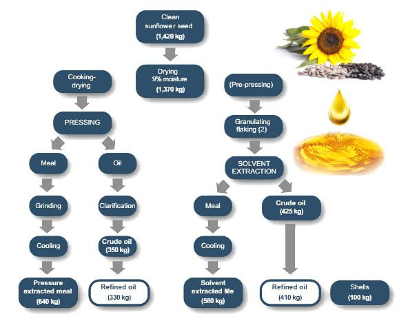 sunflower seed oil manufacturing process