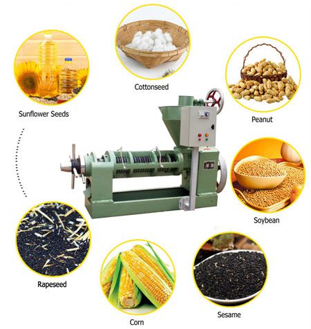 vegetable oil seed pressing