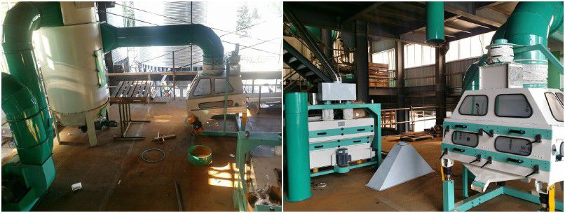 wheat cleaning stage of complete seeds processing plant