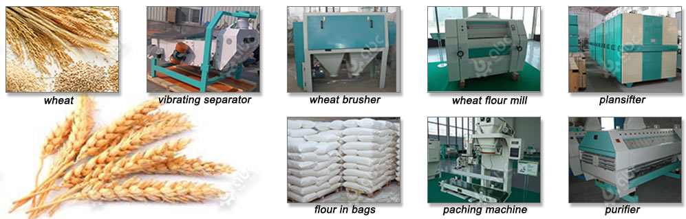 choose best wheat flour machine at low price