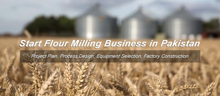 start wheat flour milling business in Pakistan