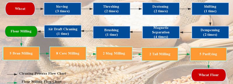 wheat flour milling process flow chart