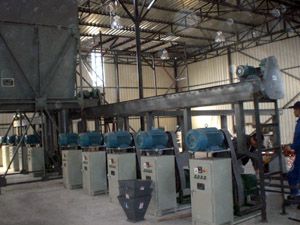 wood briquette plant