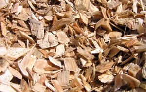 wood chips