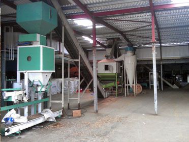 1TPH Wood Pellet Production Equipment in UK