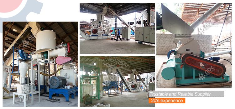wood pellet production line project in Serbia