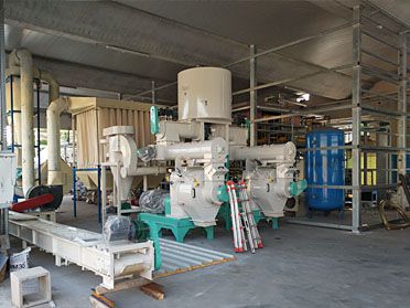 2~3TPH Wood Pelletizing Plant Built in Italy